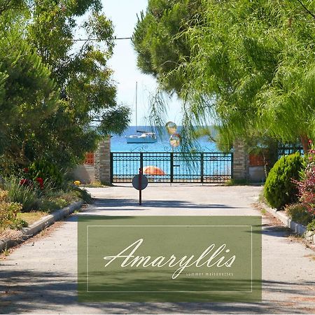 Amaryllis Summer Maisonettes Possidi Bilik gambar